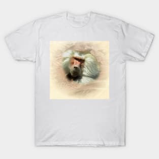 Baboon T-Shirt